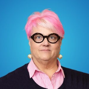 Allison A. Dahle - NC House of Representatives District 11